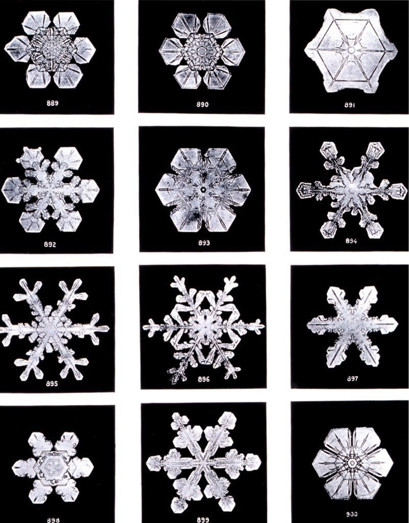 Why Do Snowflakes Have Such Fascinating Shapes? » Science ABC