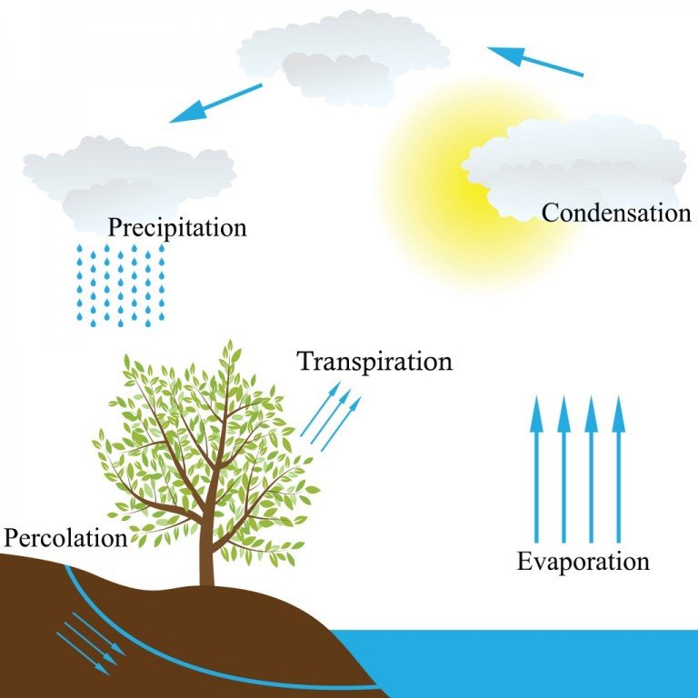 Why Doesn't Rain Wash Away Fog? » ScienceABC