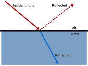 How Are Transparent Objects Visible Despite Allowing The Light Passage?