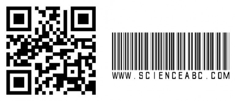 QR Code Vs Barcode: Differences Between QR Code And Barcode