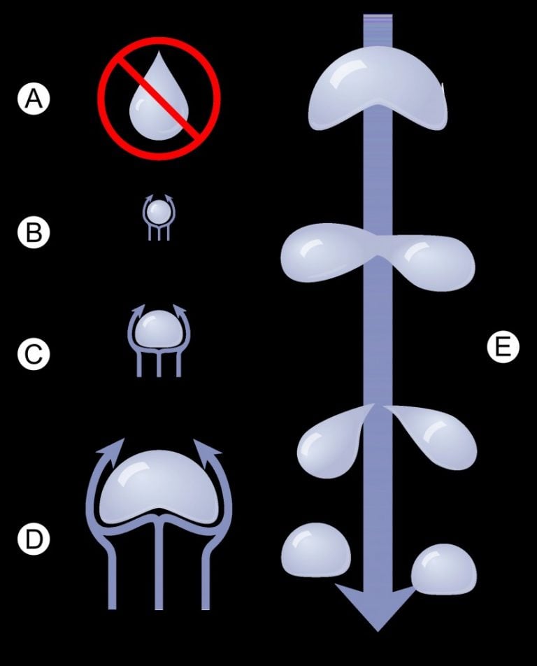 impacts of assumed raindrop shape parameters