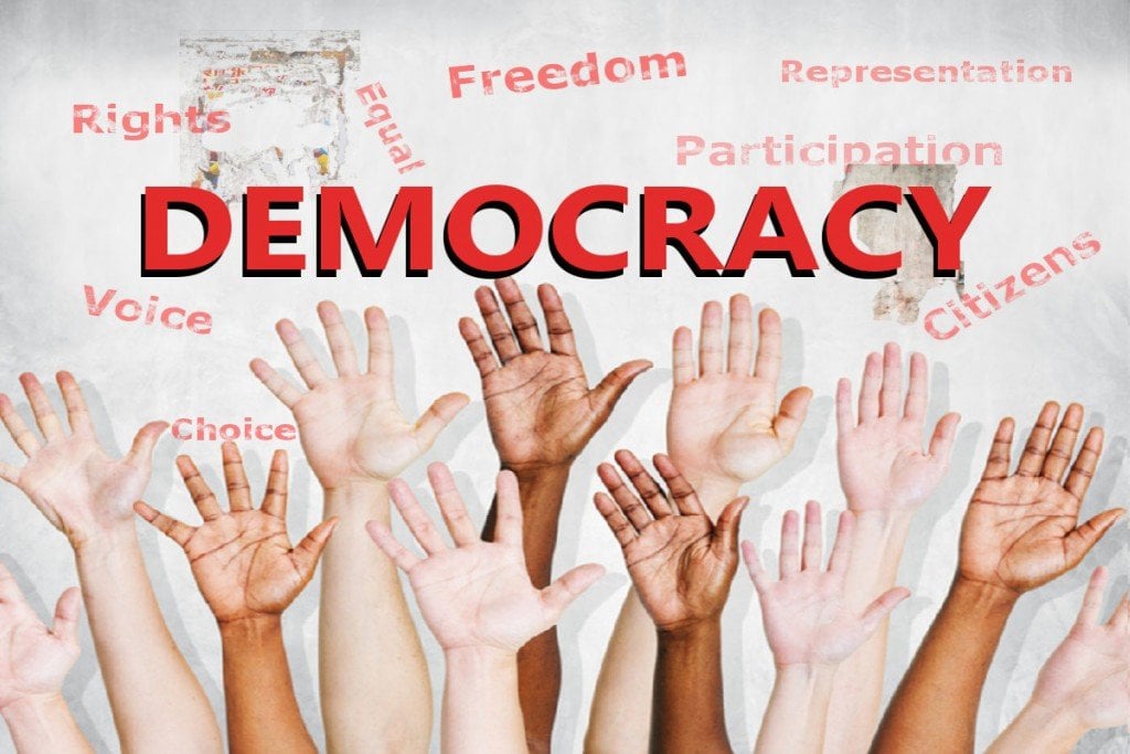Representative Democracy and Government: Definition & Future