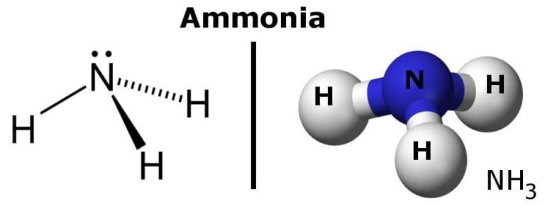 L Eau Est Elle Polaire Ou Non Polaire Science ABC Virtual World   Ammonia Molecules Diagram 768x291 