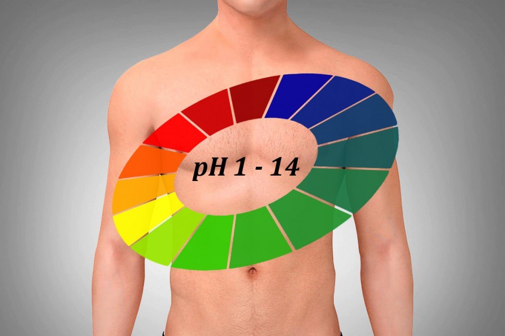 What Is The Ideal PH Of The Body Science ABC