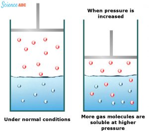 Why Do Bubbles Form In A Glass Of Water That’s Left Out? » Science ABC