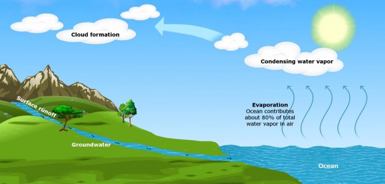 Why Are Tropical Regions Hotter Than Equatorial Regions? » ScienceABC