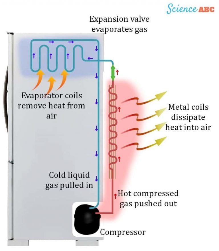 Refrigerator Working Principle How Does A Refrigerator (Fridge) Work?