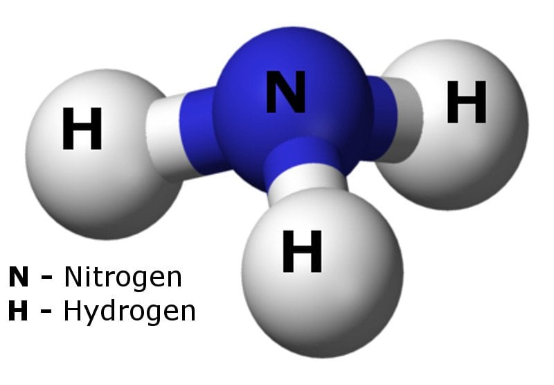 Equation For Ammonium Ion With Water Tessshebaylo