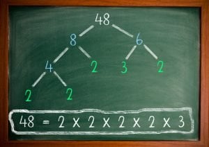 What Are Prime Numbers? Why Are Prime Numbers So Important?