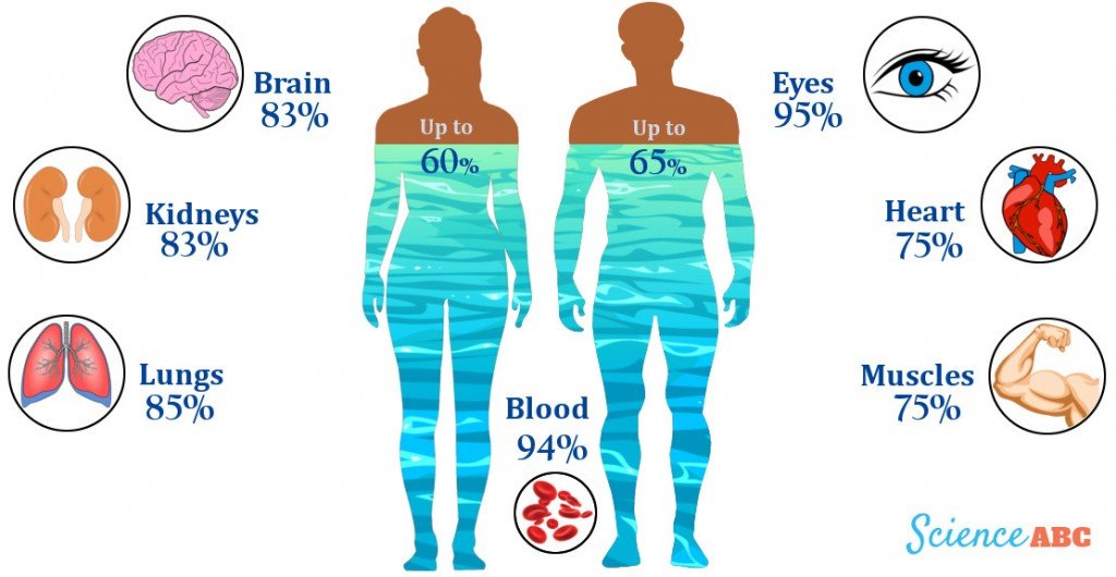 How Long Can You Survive Or Live Without Water 