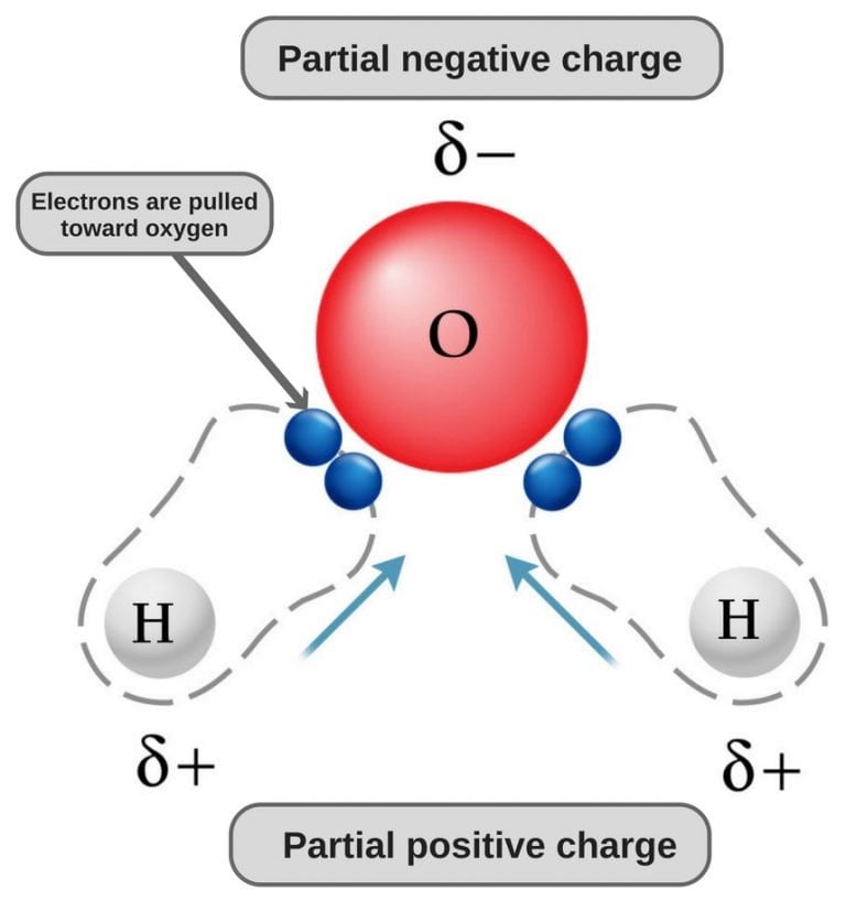 partial-charges-in-organic-compounds