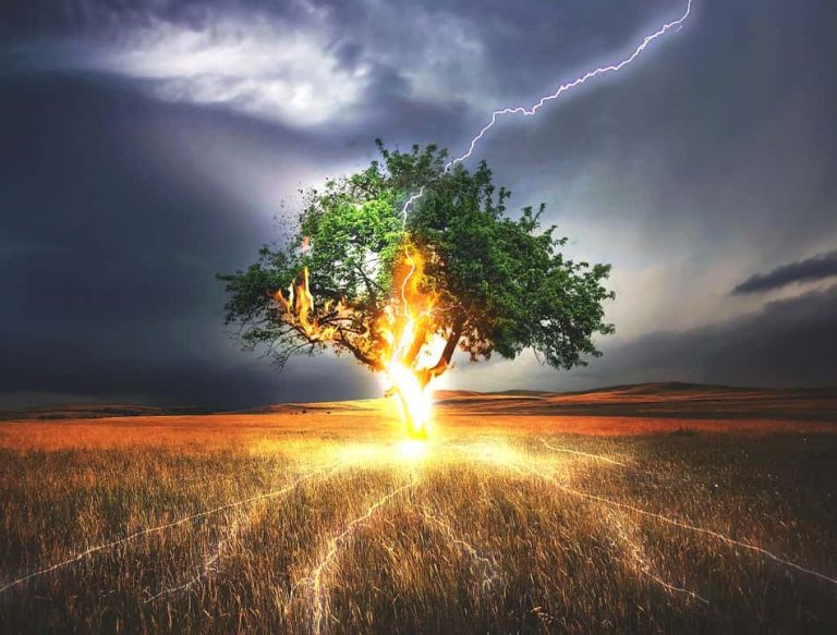 Why Does Lightning Sometimes Cause Trees To Explode Scienceabc 