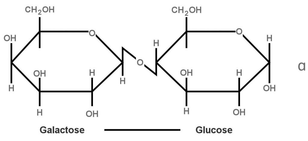 Was Ist Laktoseintoleranz Was Sind Seine Ursachen Symptome Und