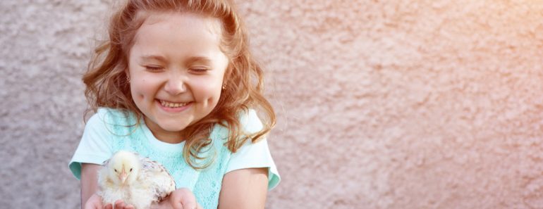 a cute girl in a blue t-shirt with dimples on her cheeks holds a chicken in her hands and squints with emotion and delight - Image(AHOOLY)s