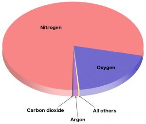 Why Has Life Evolved To Depend On Oxygen Instead Of Nitrogen? » ScienceABC