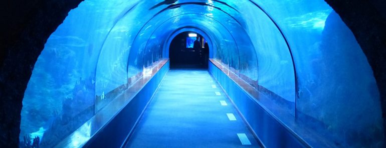 underwater tunnel