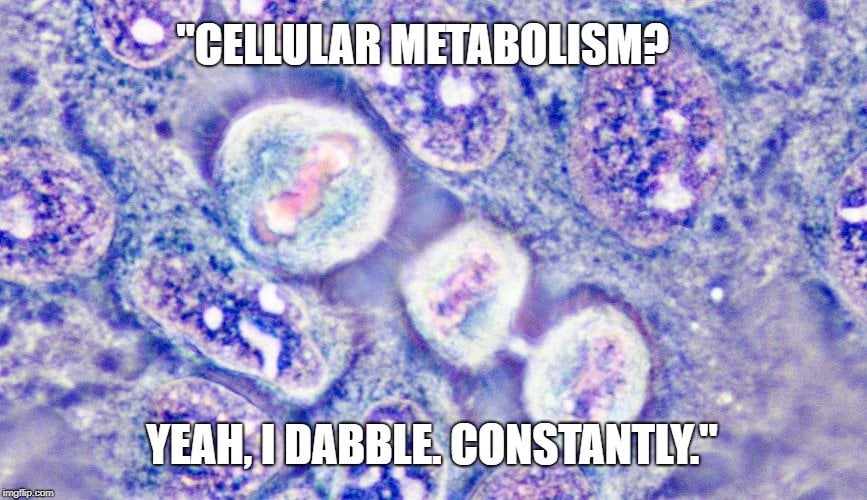 "Metabolismo Celular