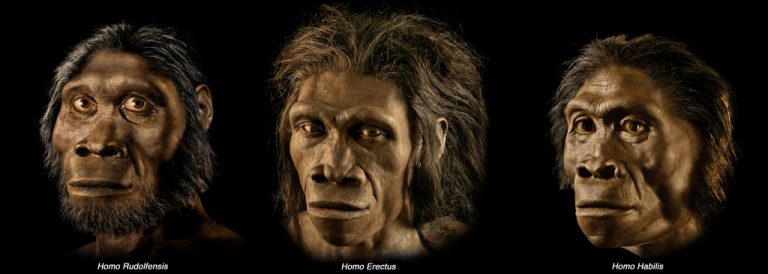 Timeline Of Human Evolution Sahelanthropus Tchadensis To Homo Sapiens   Homo Species 768x274 