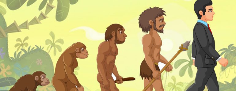 human evolution