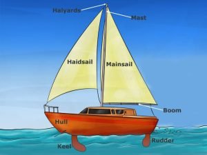 What Physics Are Involved In The Working Of Sailboats? » ScienceABC