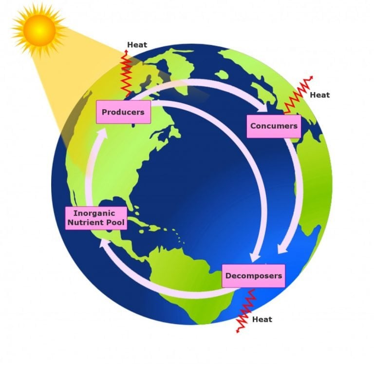 Biogeochemical Cycle Definition, Types And Importance