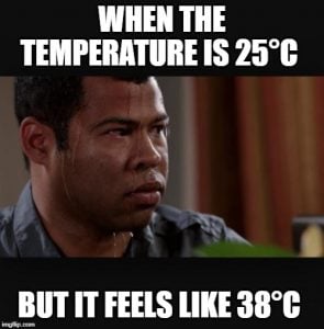 feels like temperature now