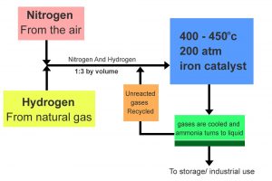 Haber Bosch Process: Definition, Equation & Environmental Effects