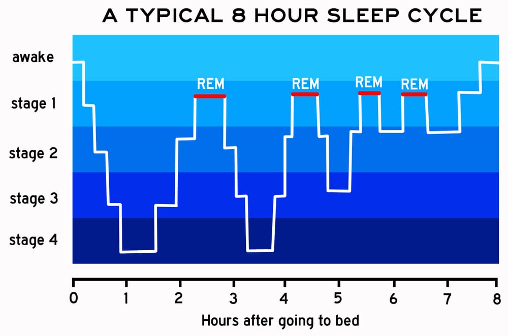 Stages Of REM Sleep