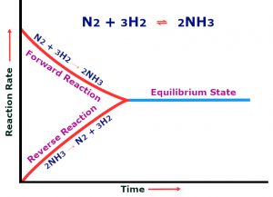 Haber Bosch Process: Definition, Equation & Environmental Effects