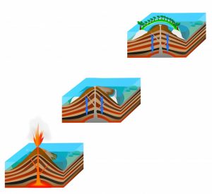 How are coral reef formed?