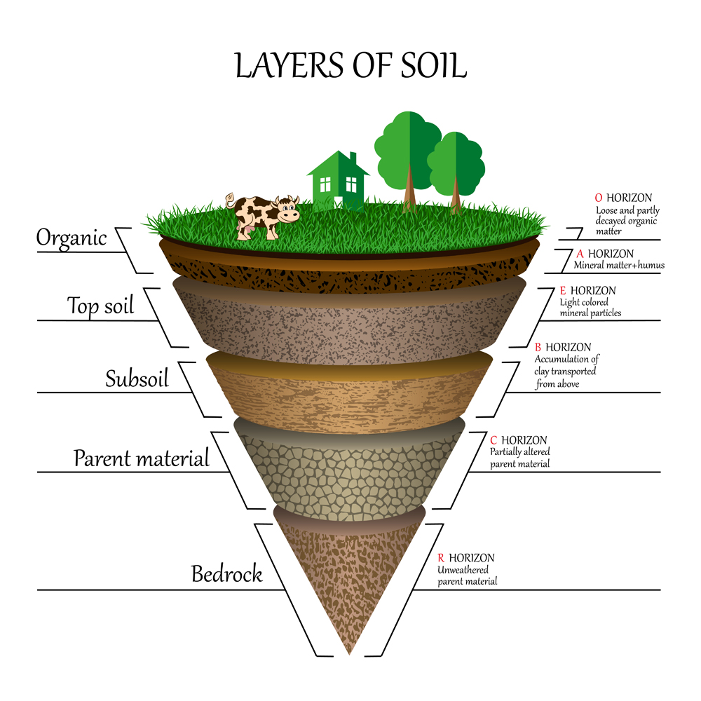 Soil Formation What Is Soil Made Of How Do Soils Form 