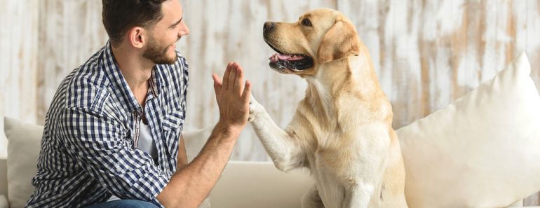 happy guy sitting on a sofa and looking at dog(Olena Yakobchuk)s