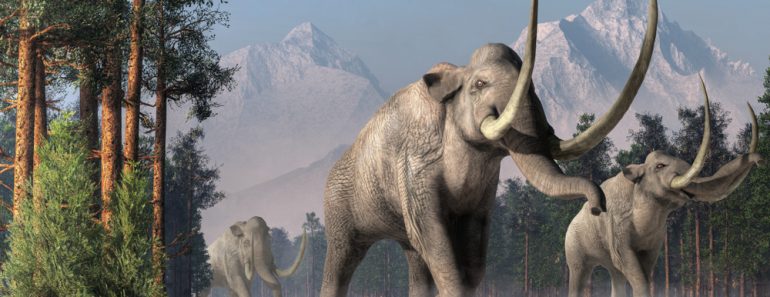 The Columbian Mammoth is an extinct animal that inhabited warmer regions of North America during the Pleistocene(Daniel Eskridge)s