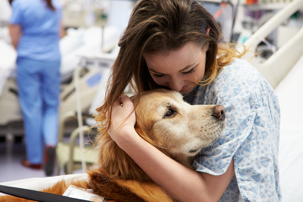 how-do-therapy-dogs-impact-lives-science-abc