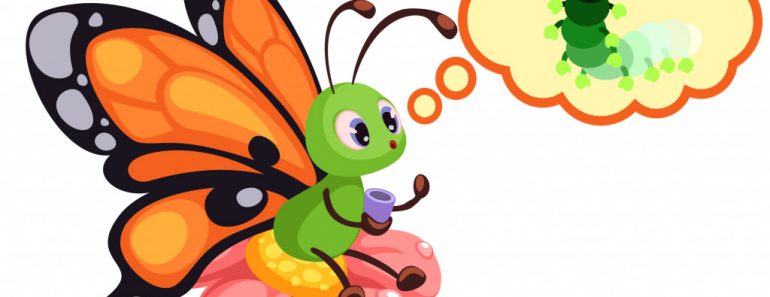 butterfly is remembering it's caterpillar stage1