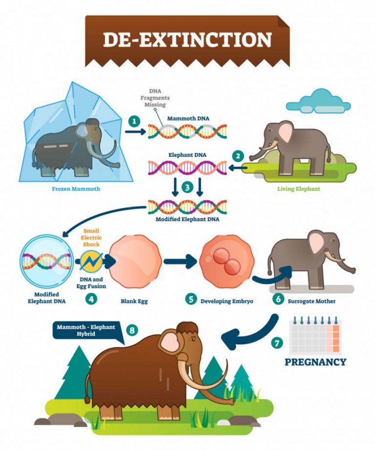 De Extinction: Can We Resurrect Extinct Animals?