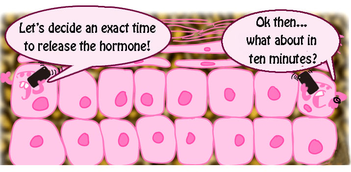 cell-communication-how-and-why-do-cells-communicate-with-each-other