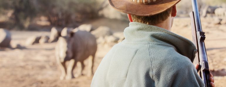 Ranger with firearm stands face to face with rhino and watches the behavior of the rhino(mezzotint)S