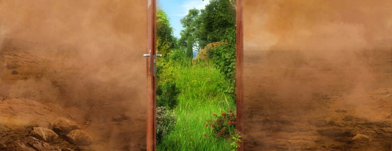 Open door to the new summer landscape world, green nature environment against desert background(Corona Borealis Studio)s