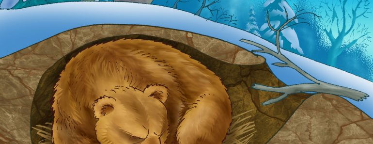 The,Bear,Sleeps,In,The,Winter,In,A,Den