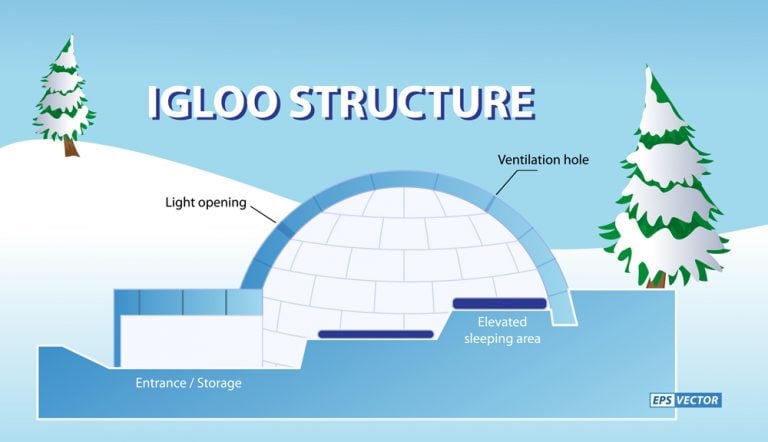 Science Of Igloos: How Do Igloos Work?