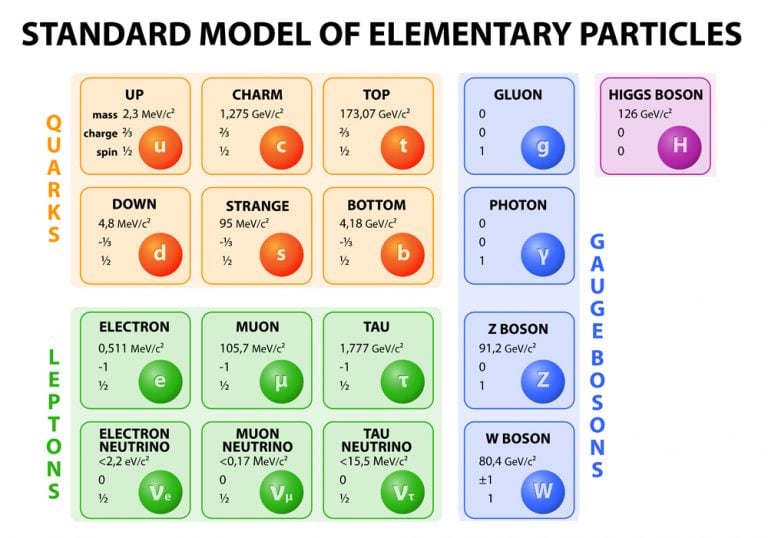 What Is The Standard Model Of Particle Physics? » ScienceABC