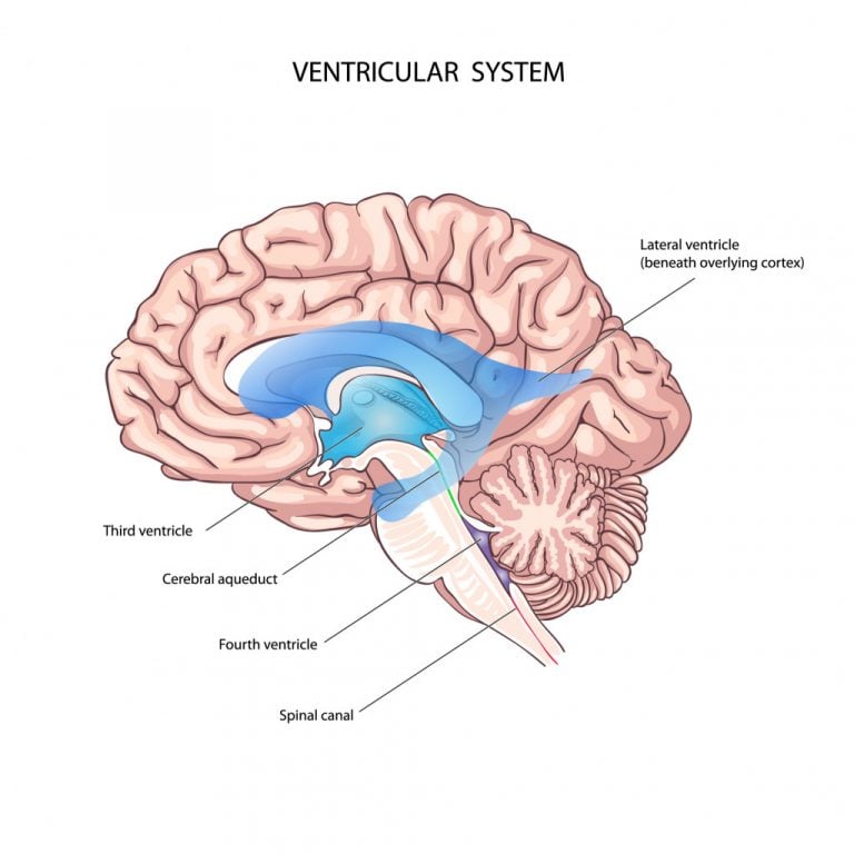 How Do Motion Sickness Patches Work? » ScienceABC