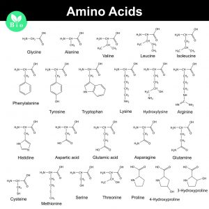 Why Are Most Organic Compounds Colorless/White? » ScienceABC