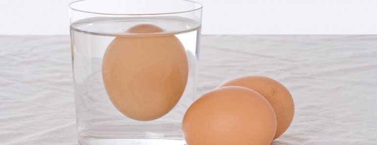 Rotten,Egg,,Salmonella,Risk.,Old,Fashioned,Test.,Bad,Egg,Floats