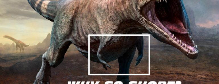 Tyrannosaurus rex scene 3D illustration