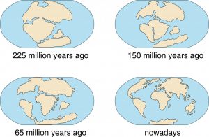 How Did Continental Drift Affect Life On Earth Today? » ScienceABC