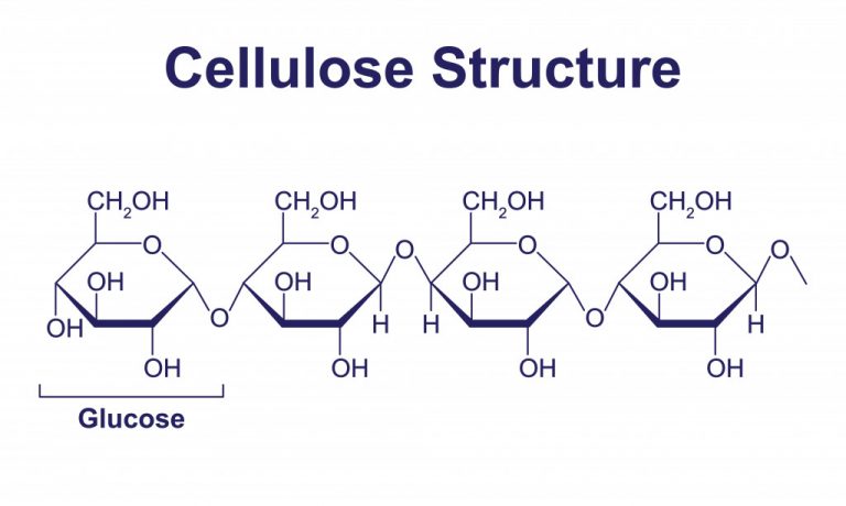 What Are The Indigestible Chemicals In Almonds? » Science ABC