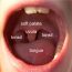 What Does The Uvula Even Do In The Body? » ScienceABC