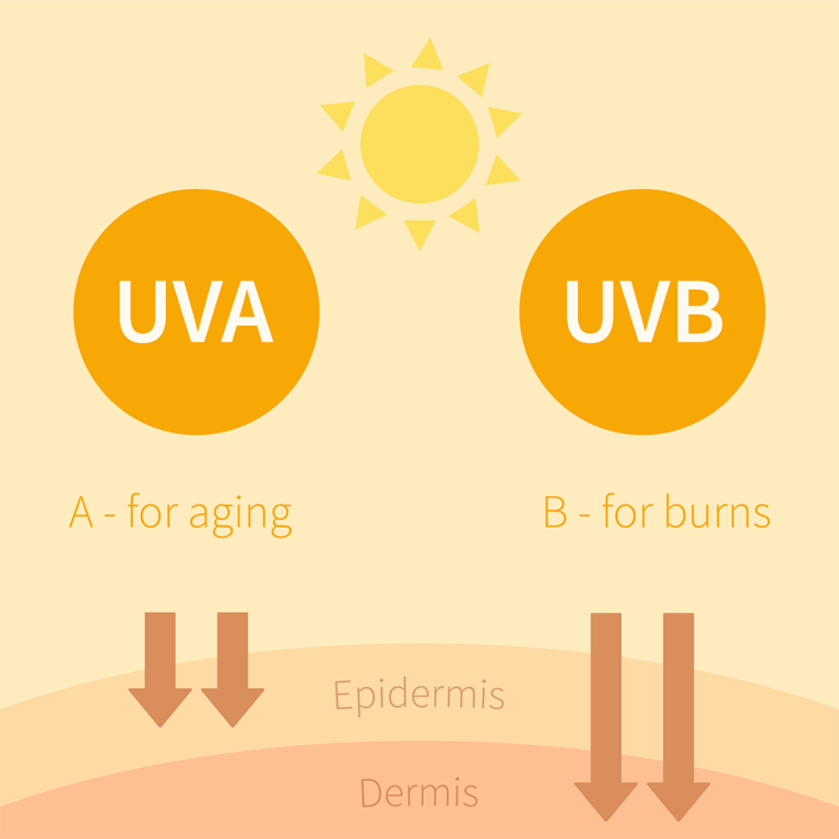 Can Animals Create Their Own Sunscreen? » ScienceABC